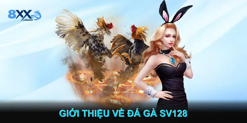 Giới Thiệu Về Đá gà SV128 Giới Thiệu Về Đá gà SV128